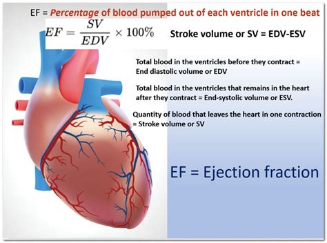 medical term lv|Lv ejection fraction chart.